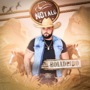 Download track Cavalo Sem Égua BOIADEIRO O COWBOY DO PISEIRO