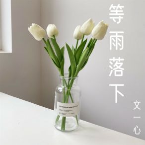 Download track 云在飞 文一心