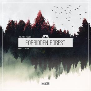 Download track Forbidden Forest Juliane Wolf