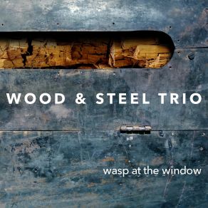 Download track Point Of View THE WOOD, Steel Trio