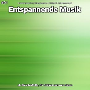 Download track Entspannende Musik Teil 41 Entspannungsmusik