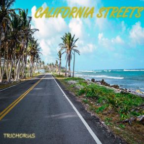 Download track Romantic Walk Trichorus