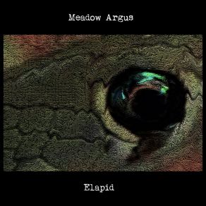 Download track A Tender Terror Meadow Argus