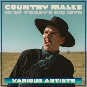 Download track Hard Working Man Country Males