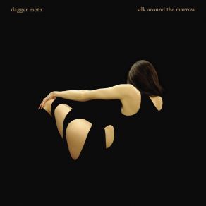 Download track A Kind Of Fire Dagger Moth