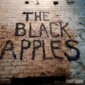 Download track You Don't Do Nothing Black Apples