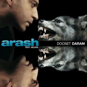 Download track Dooset Daram (Filatov & Karas Remix) Arash, Helena