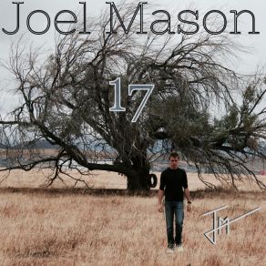 Download track Haven't Decided Yet Joel Mason