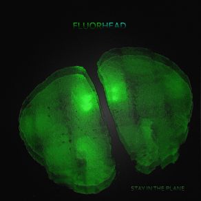 Download track Snow FluorHead