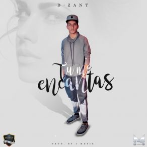 Download track Tu Me Encantas D - Zant