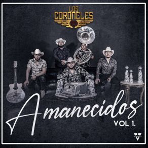 Download track Pa Que Vayan Y Digan (Live) Los Coroneles