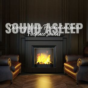 Download track Calming Winter Presidential Suite Fireplace Sounds, Pt. 16 Elijah Wagner