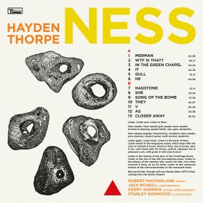 Download track WTF Is That? Hayden Thorpe