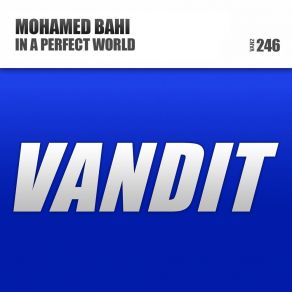 Download track In A Perfect World Mohamed Bahi