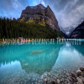 Download track MúSica Para La MeditacióN Relajación