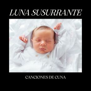 Download track Sueños De Manta Acogedora Canciones De Cuna