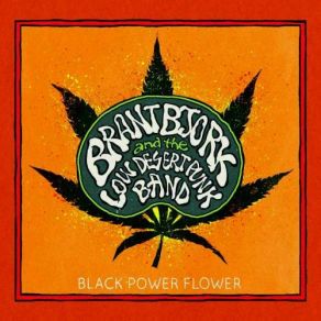 Download track Ain't No Runnin' Brant Bjork