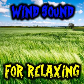 Download track Wind Sound From Attic Soundscapes Fabrizio