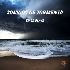 Download track Sonidos De Tormenta Y Las Olas Del Mar, Pt. 23 Sonido Ambiente By BNLXA