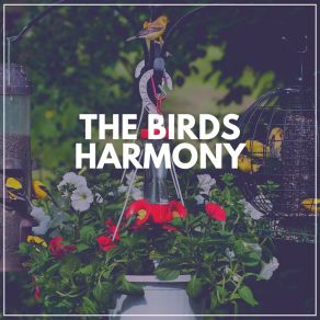 Download track French Birds Sounds Of Nature Noise