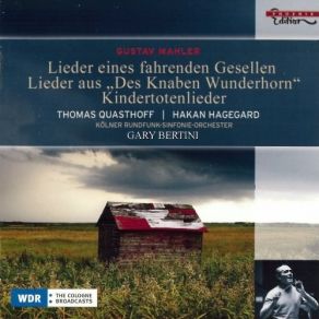 Download track 7. Kindertotenlieder - 3. Wenn Dein Mütterlein Gustav Mahler