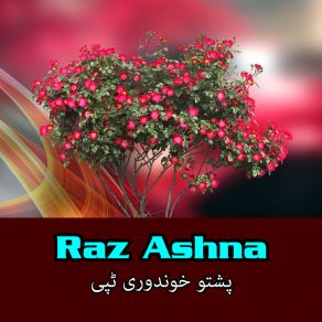 Download track Ma Da Waror Ranga Raz Ashna