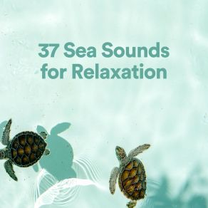 Download track Ultimate Bird Sounds Ocean Therapy