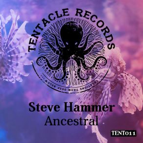 Download track Sh T Steve Hammer