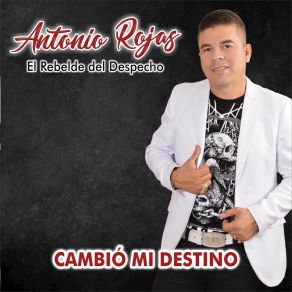 Download track Amigo Por Favor Antonio Rojas 