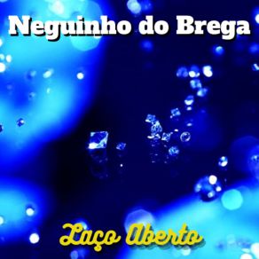 Download track Eu Sem Você (Cover) Neguinho Do Brega