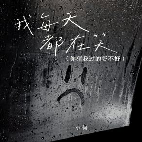 Download track 我每天都在笑（你猜我过的好不好） (伴奏版) Xiao He