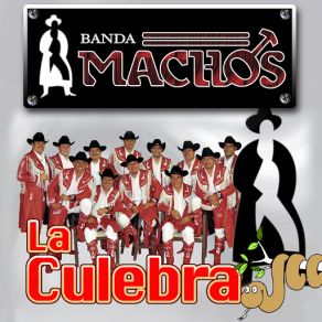 Download track Ataques De Ansiedad Banda Machos