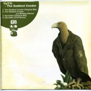 Download track The Saddest Condor (Original Mix) Tutti