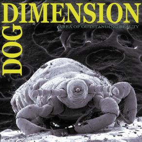 Download track Flap Dog Dimension