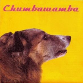 Download track Hey Hey We'Re The Junkies Chumbawamba