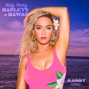 Download track Harleys In Hawaii (Win And Woo Remix) Katy PerryWin, Win And Woo