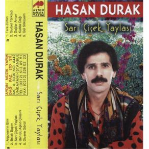 Download track Divane Gönül Hasan Durak