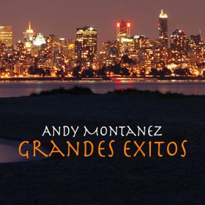 Download track Cantante Errante Andy Montañez