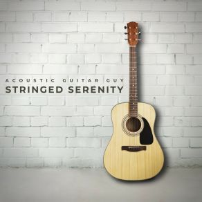 Download track Guitar Ambient Acoustic Guitar Guy