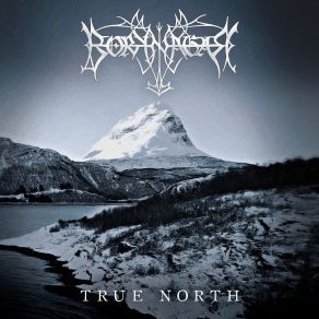 Download track Lights Borknagar