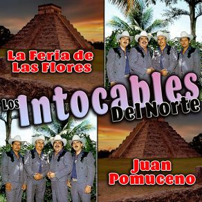 Download track Temor De Perderte Los Intocables Del Norte