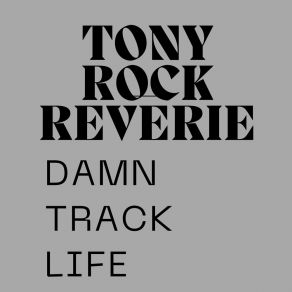 Download track Zenith Whisper Blossom Tony Rock Reverie