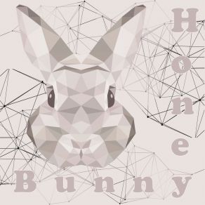 Download track Nervous Dude (Original Mix) Honey BunnyTechno Mama