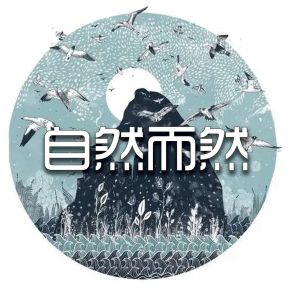 Download track 跑掉的烦恼 禄胜敏