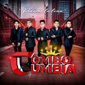 Download track Danza Andina (Cover) Combo Cumbia