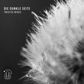 Download track Scoff Die Dunkle Seite