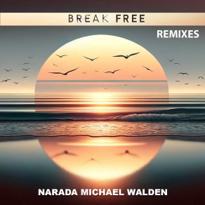 Download track BREAK FREE (Radio Edit) Narada Michael Walden