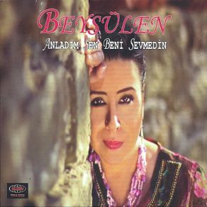 Download track Anladım Sen Beni Sevmedin Beysülen