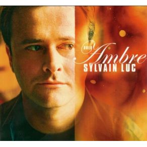 Download track Warm Color Sylvain Luc