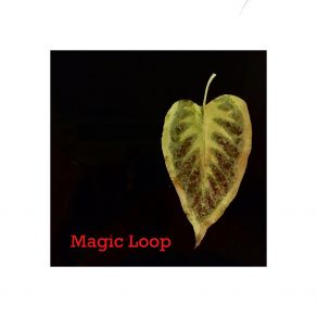 Download track The Wanting Magic Loop